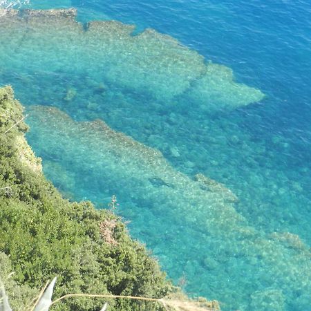 Sea View Garden Leilighet Corniglia Eksteriør bilde