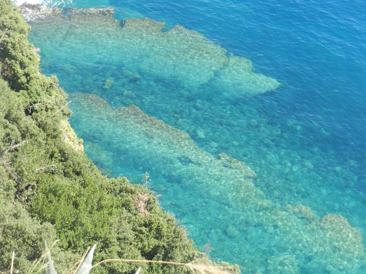 Sea View Garden Leilighet Corniglia Eksteriør bilde