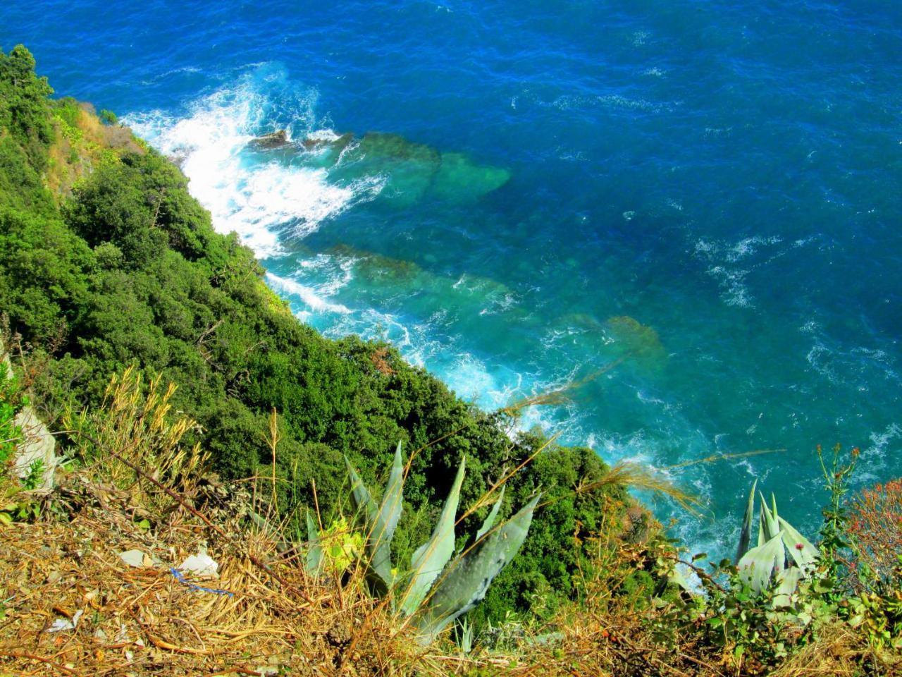 Sea View Garden Leilighet Corniglia Eksteriør bilde