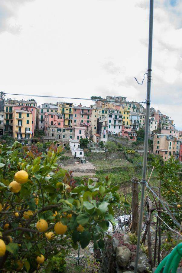 Sea View Garden Leilighet Corniglia Eksteriør bilde