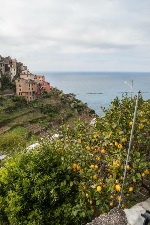 Sea View Garden Leilighet Corniglia Eksteriør bilde